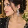 Crystal Cascade Chandelier Earrings (4)